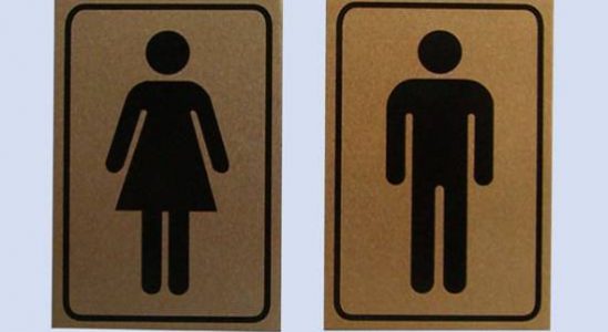 В Воронеже появятся 967 круглосуточных общественных туалетов