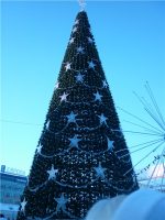 В ТОСах Засвияжского района Ульяновска организуют новогодние ёлки