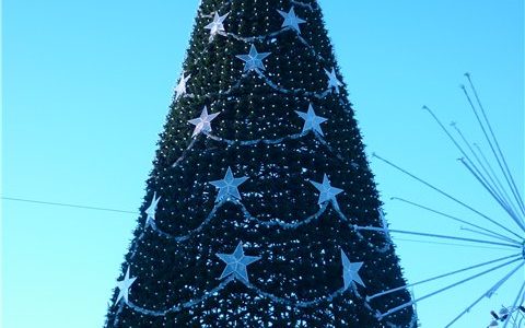 В ТОСах Засвияжского района Ульяновска организуют новогодние ёлки