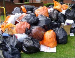 В Костроме вырастут штрафы за плохой вывоз мусора