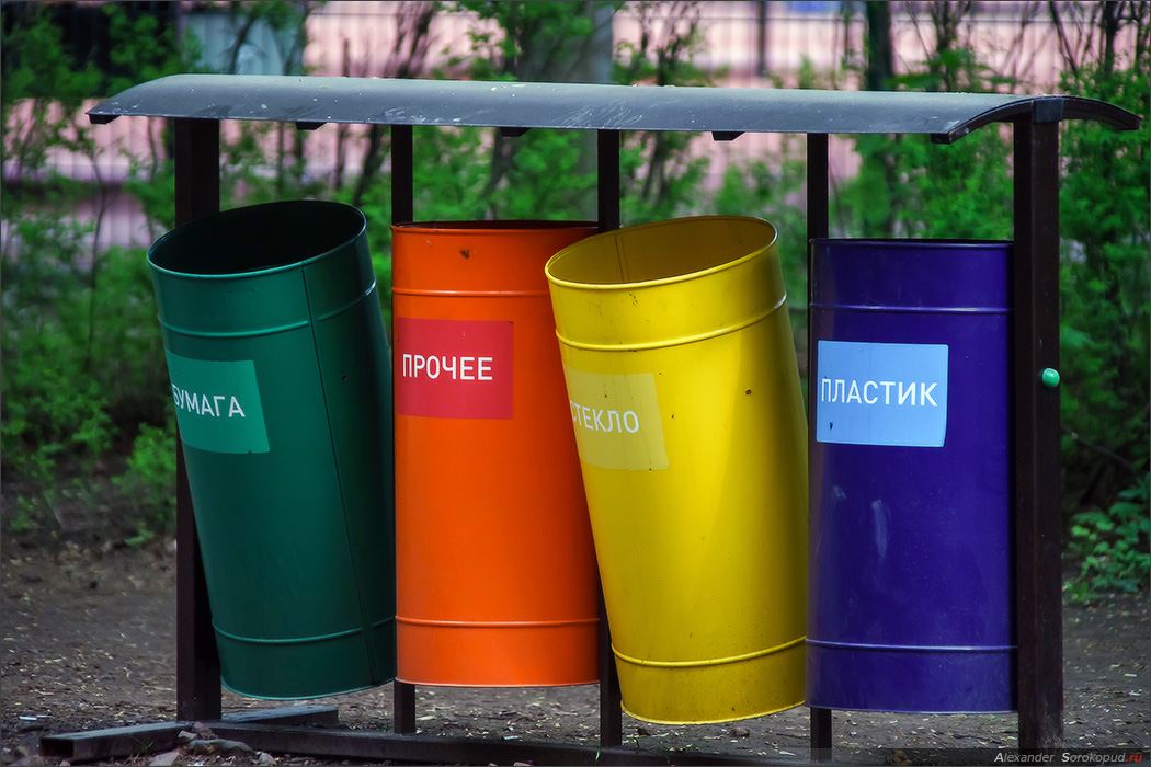 Раздельный сбор отходов картинки