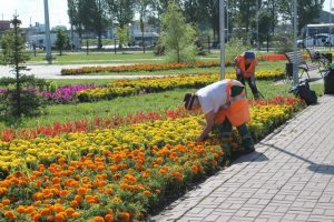 В Ульяновске вступили в силу новые правила благоустройства