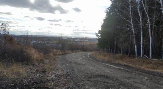 В Ульяновске ликвидировали 61 незаконную свалку